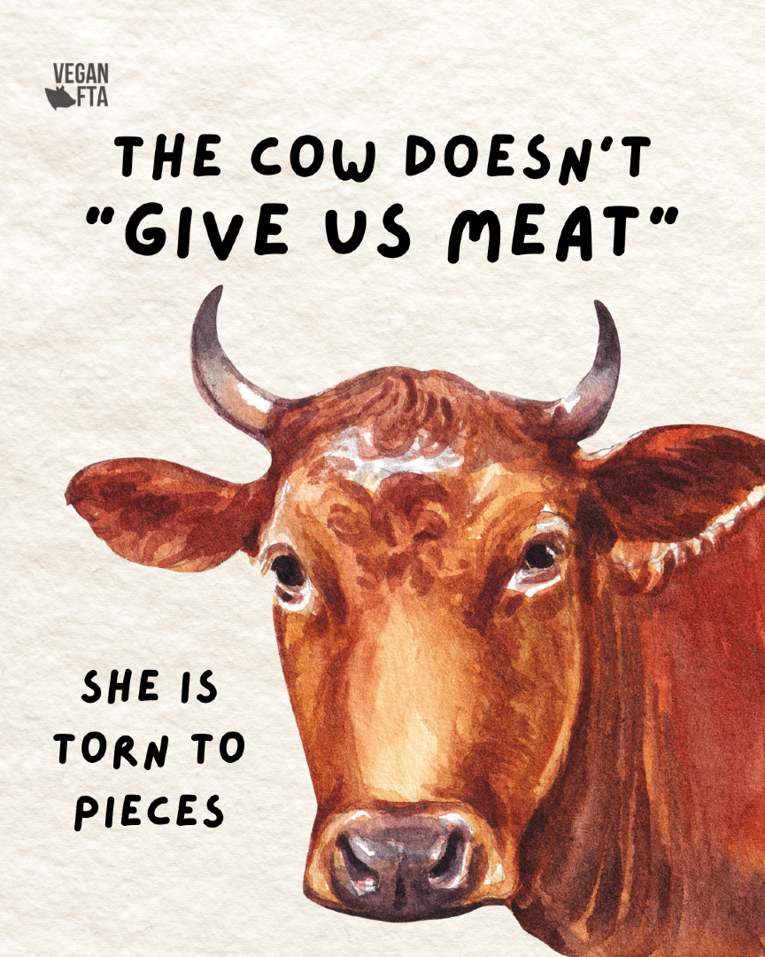 teamveganfta's tweet photo. No animal willingly gives up their life for our plate. 💔

Their lives are taken, not given. Go vegan. 🌱

#cows #beef #vegan https://t.co/0cAw6JTxVW