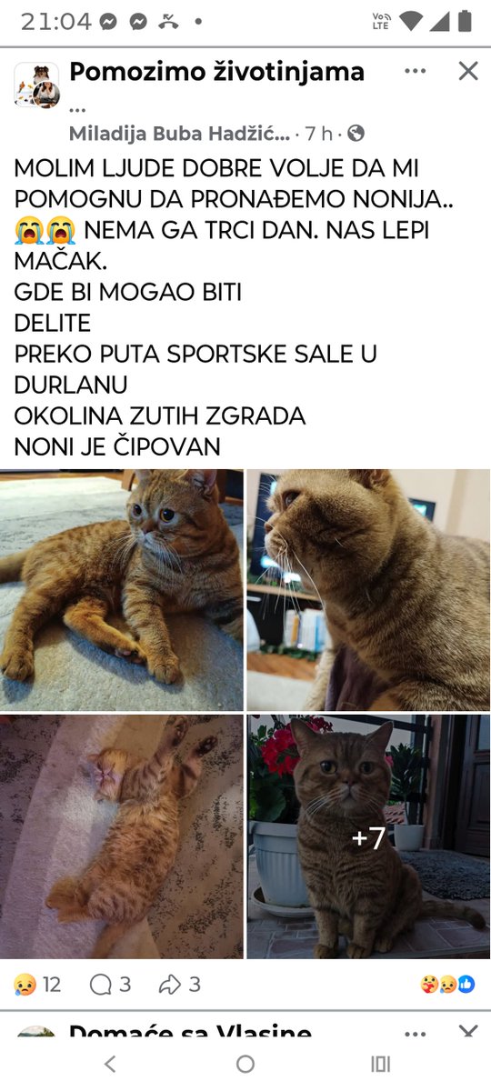 MoravskiLubenic's tweet photo. Hajde Nišlije obratite pažnju https://t.co/BHNiwl96Xg