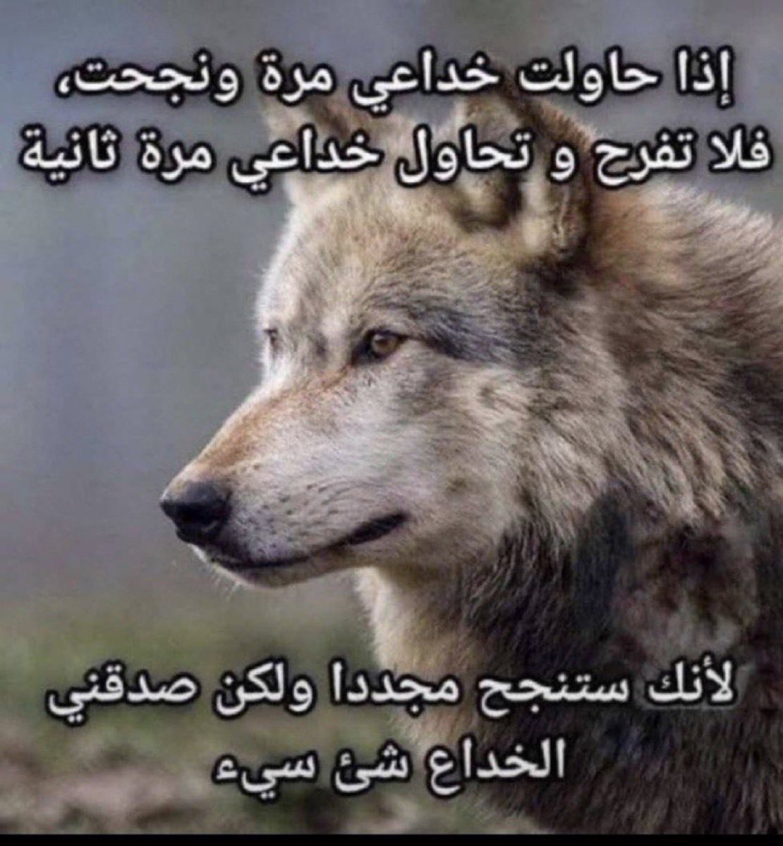 Mystrey_x's tweet photo. محتار اخذ ١٥٠ ولا ١٠٠ https://t.co/LlmAiS63E4