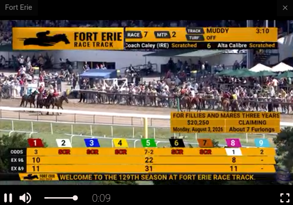 Raps7's tweet photo. Good crowd today @Forterieracing
#SupportTheFort https://t.co/zXyFFrw1Jg