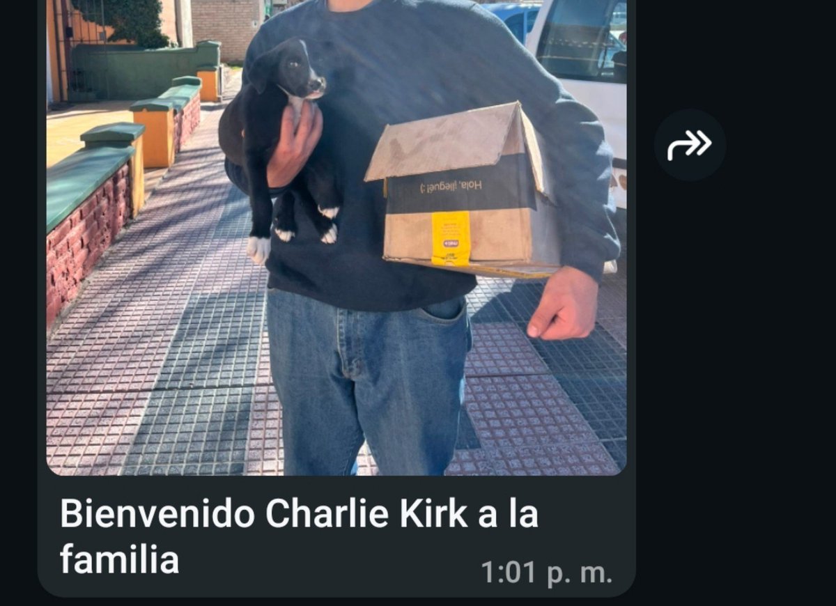 _s4tisfied's tweet photo. mi novio se pidió un perro por mercado libre https://t.co/Etxap0ofvX