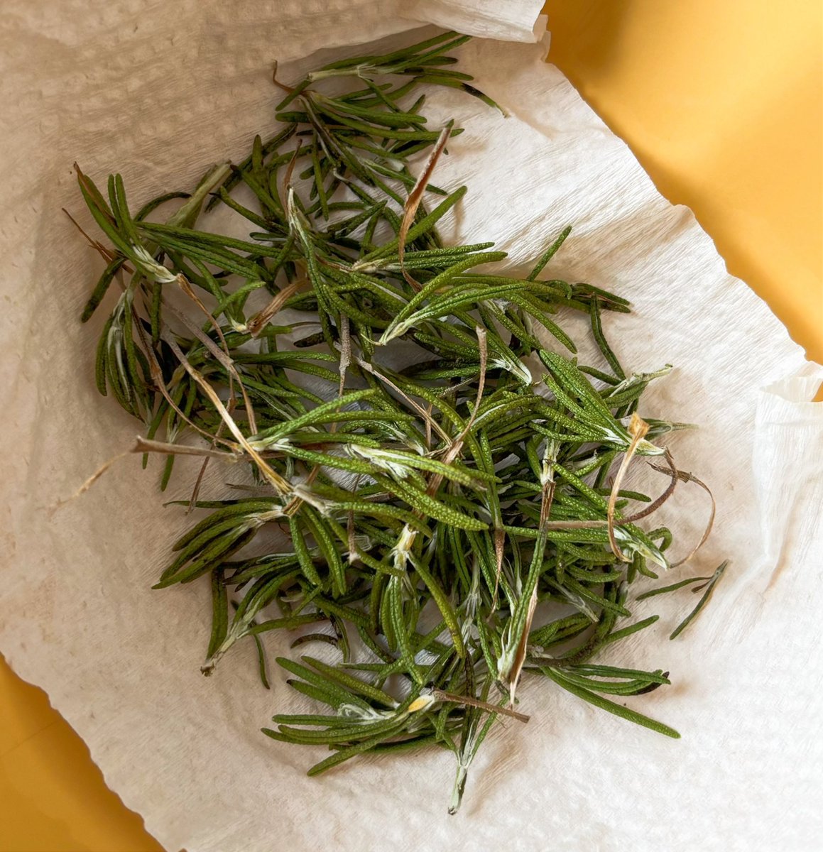 CC8q8's tweet photo. I dried some rosemary and used it to make hamburger steaks.

recipe—> https://t.co/KIiUOuemuj