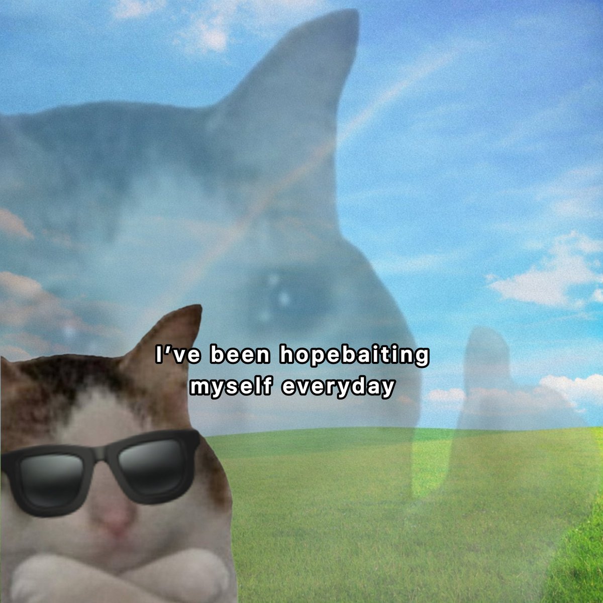 okcatcrying's tweet photo. WAGBO (we’re gonna be ok) https://t.co/ost3sPueh8
