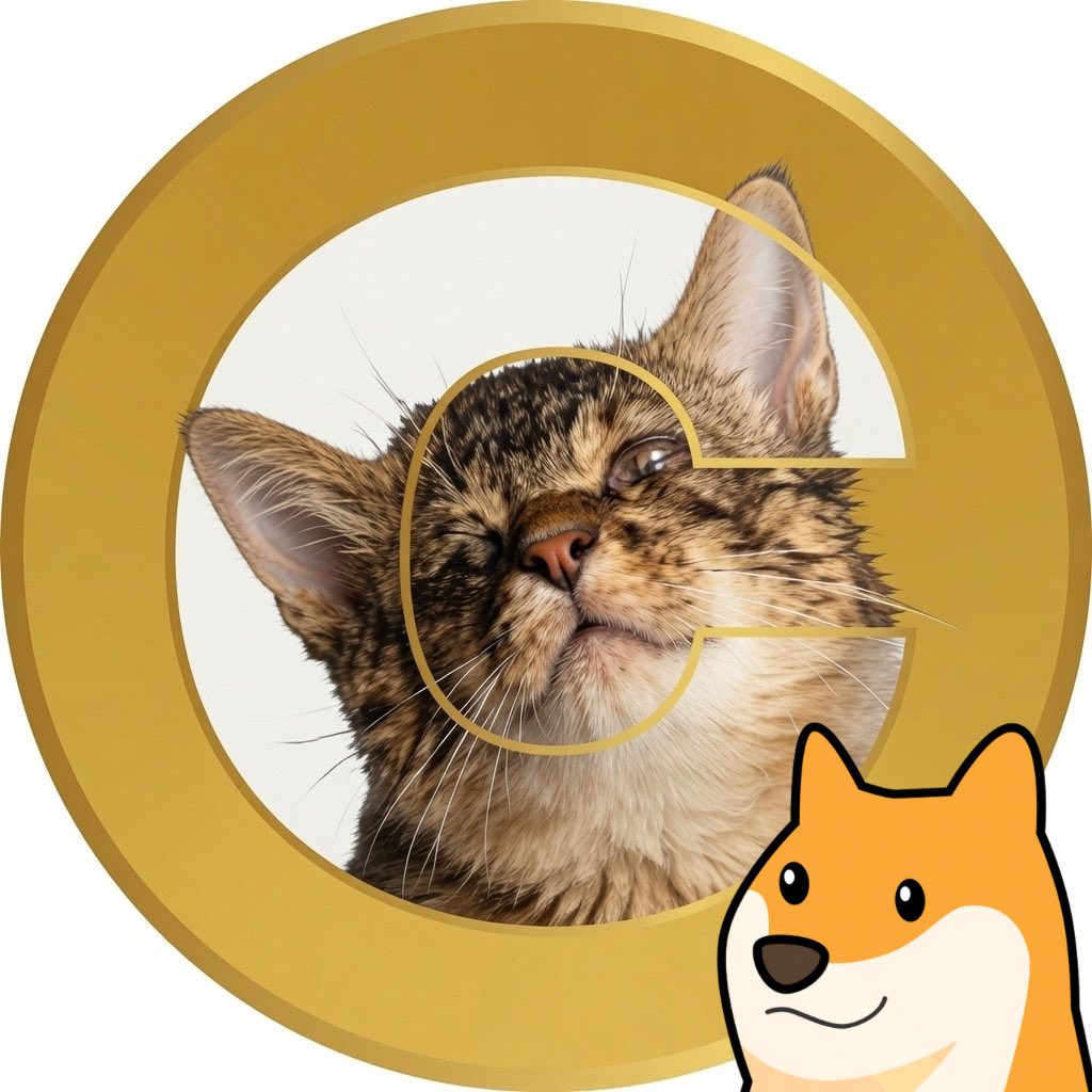 CATECOIN on Doge Chain tweet media