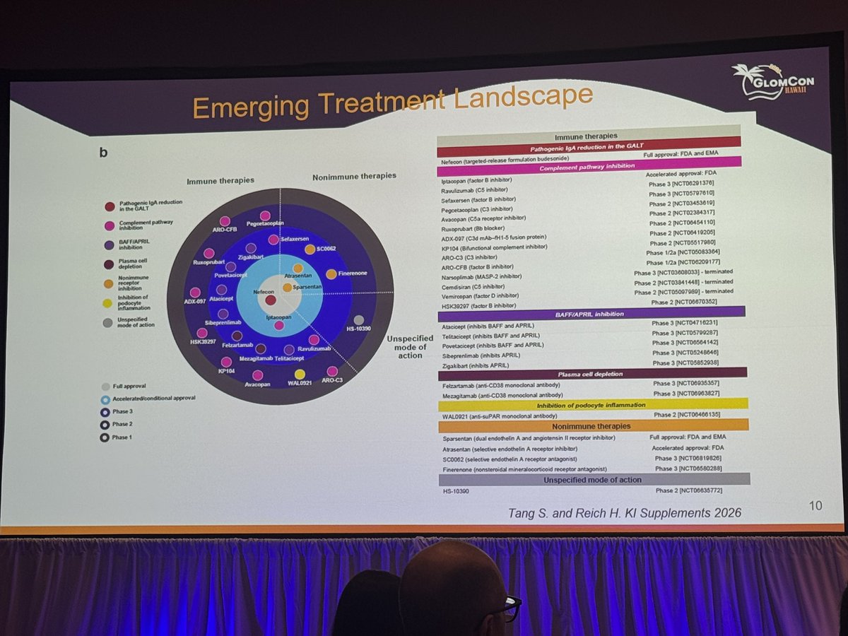 NephRodby's tweet photo. No shortage of new and developing IgAN treatments. Don’t look away or you will be out of date. #GlomconHawaii https://t.co/ioOkxv4yPz