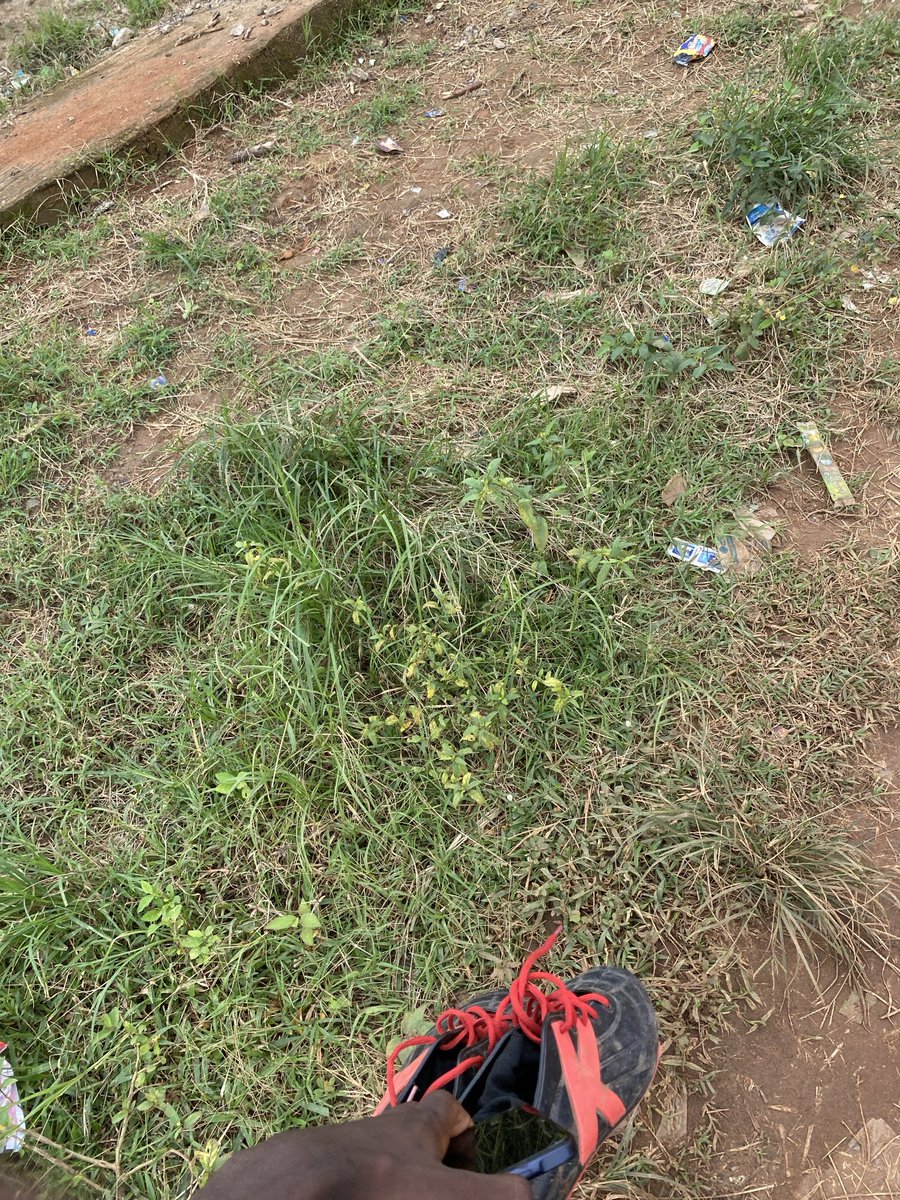 droj_F's tweet photo. grass touched. legend continued.

Day 25 · proof of grass 🌿

$TOUCHGRASS #TouchGrass #ProofOfGrass
@XTouchGrass
Join me:
https://t.co/9zRvqb1qhB https://t.co/gusBKUONZu
