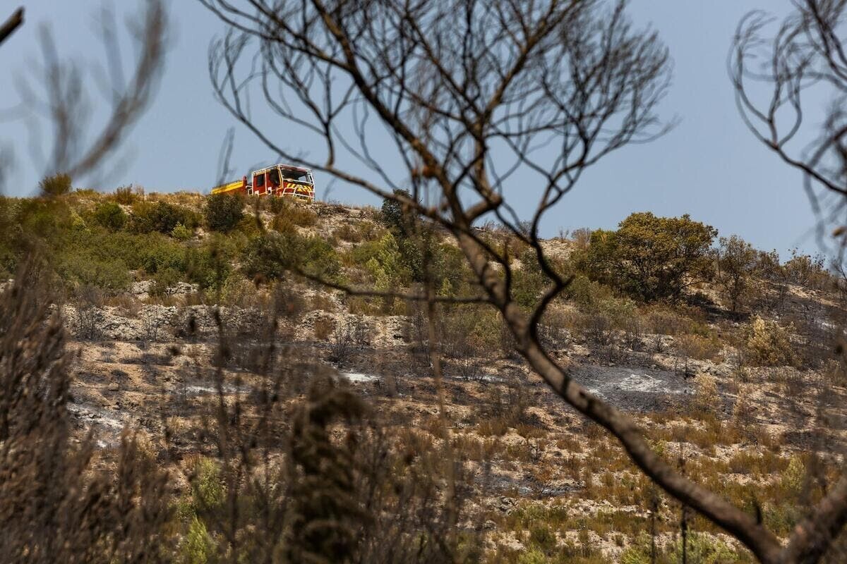 Var_Matin's tweet photo. Après déjà plus de deux semaines d’une lutte harassante et qui mobilise des milliers d’hommes et de femmes, les rangs des sapeurs-pompiers volontaires auraient tendance à se dégarnir, selon l’union régionale SudMed. La faute aux entreprises qui « ne joue… https://t.co/mpDz7HGhbx https://t.co/jHi2QCo2qM