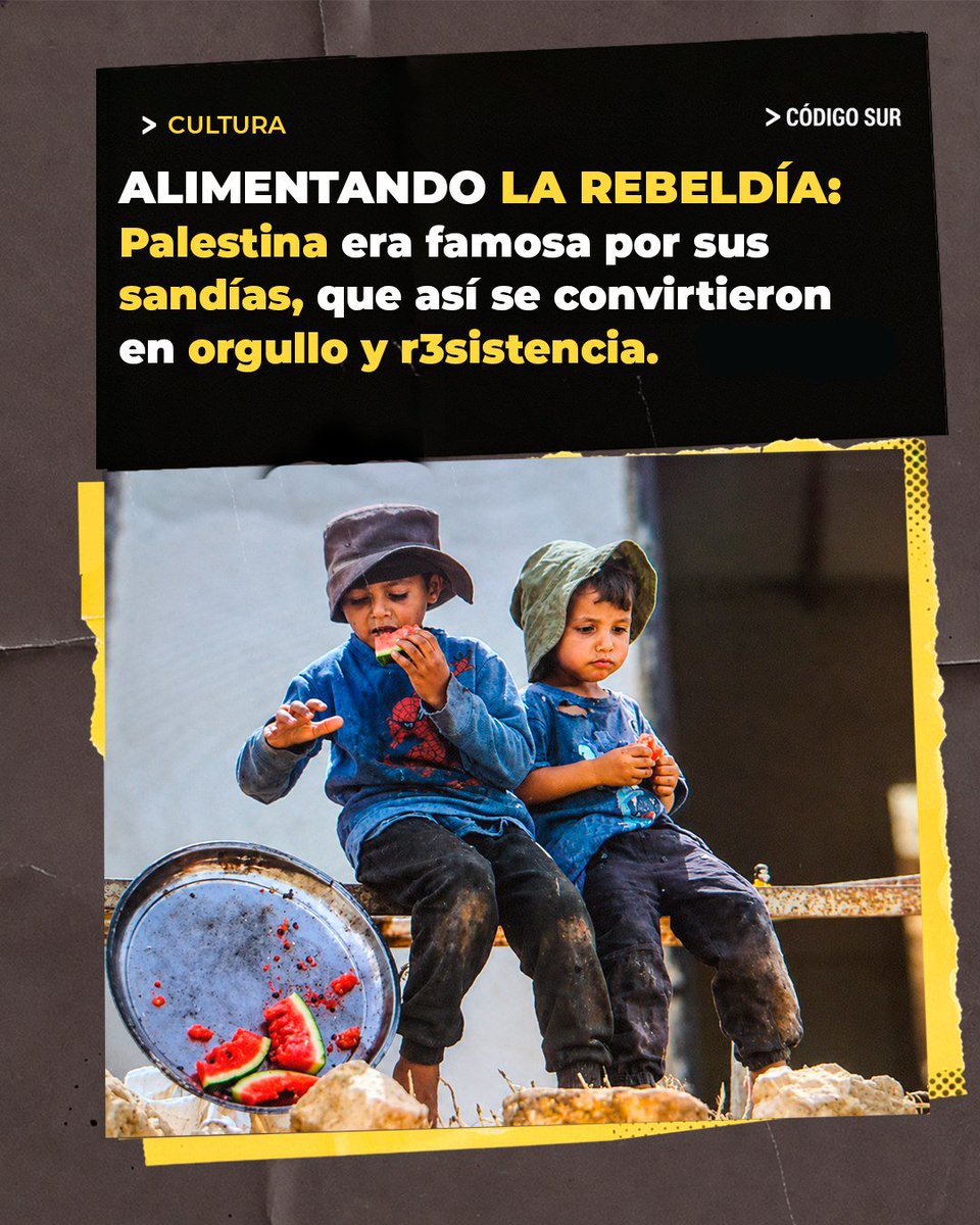 codigosurmedia's tweet photo. 🍉 Cada 3 de agosto se conmemora el Día de la Sandía, una fecha que trascendió
su origen gastronómico para transformarse en un emblema global de
resistencia e identidad palestina. 

¿Lo sabías? 

¡Te invitamos a dejar tu sandía para sumarte a este día! 🍉✊

#Sandia #Palestina https://t.co/fH38PZInIR