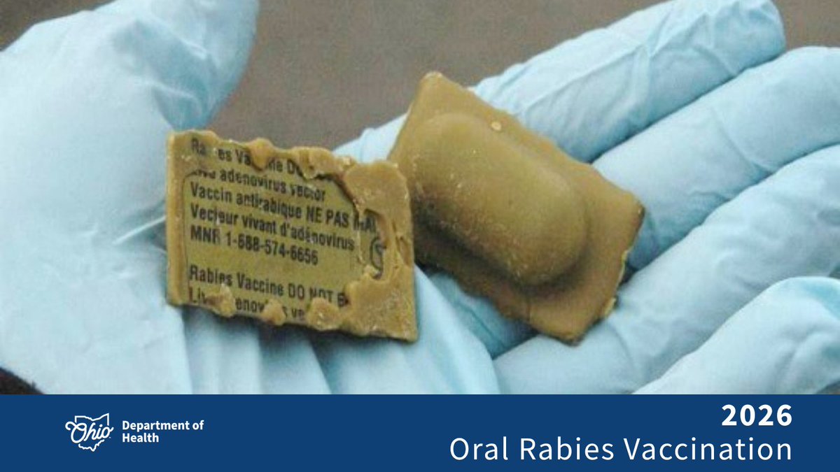 OHdeptofhealth's tweet photo. This is the oral rabies vaccination, or the "forbidden ravioli" as some Ohioans have affectionately nicknamed it. They look funny, but they play an important role in wildlife rabies prevention.
Learn more: https://t.co/R7yANNLUGd 
#Rabies https://t.co/Y2lYoeUsqL