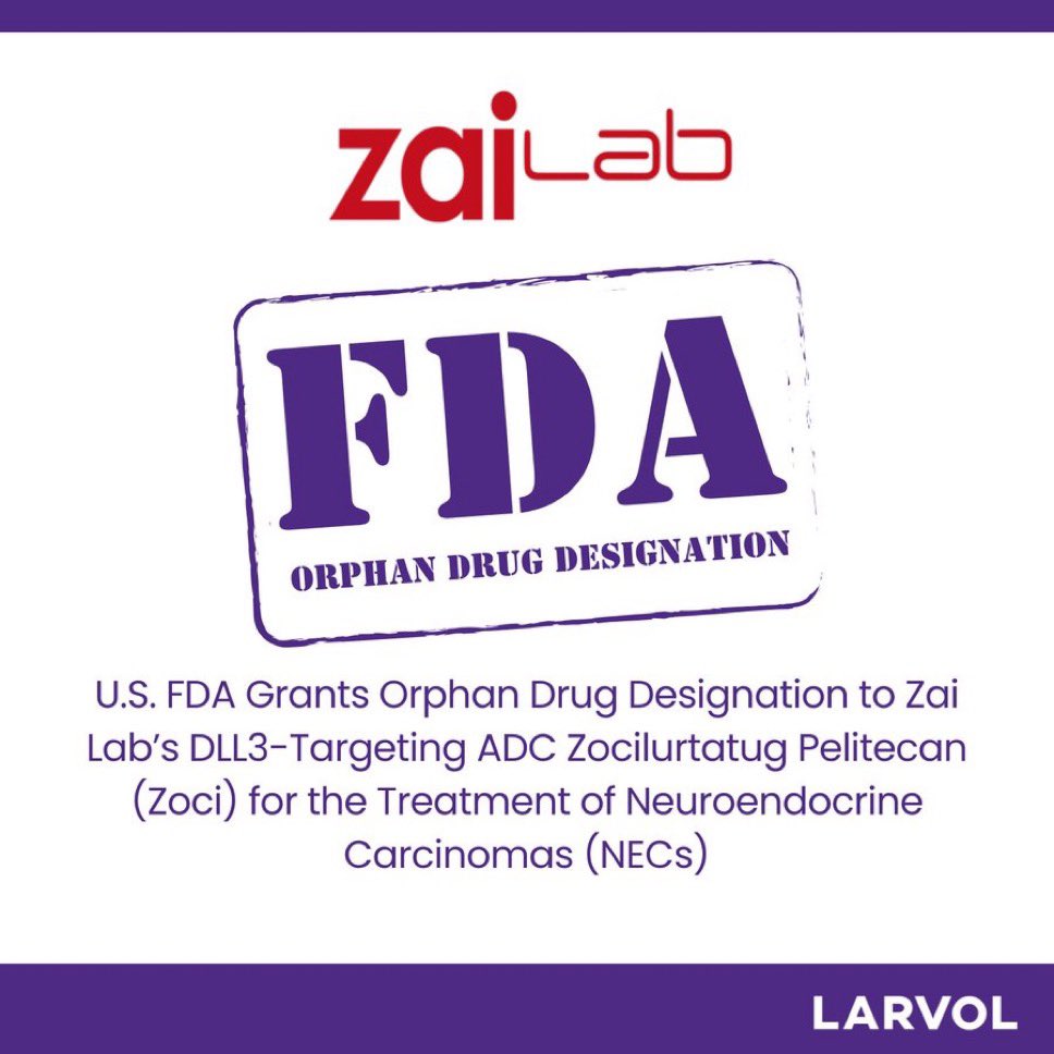 GrupoGetne's tweet photo. 🇺🇸 The FDA has granted Orphan Drug Designation to the DLL3-targeting ADC zocilurtatug pelitecan (Zoci) for neuroendocrine carcinomas (NECs).

🎯 An important step toward expanding targeted treatment options in this high unmet-need disease.

🔗 https://t.co/gmY5F2ZYbC https://t.co/iYB01RqHkl