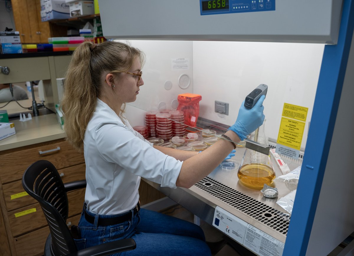 ohionorthern's tweet photo. An ONU honors student and environmental &amp; field biology major, Cora Neville obtained a competitive Research Experience for Undergraduates (REU) at Michigan State University’s Kellogg Biological Station in southwest Michigan.

📲 Read more: https://t.co/Omw3jvuRDz https://t.co/4P1E3VRtyG