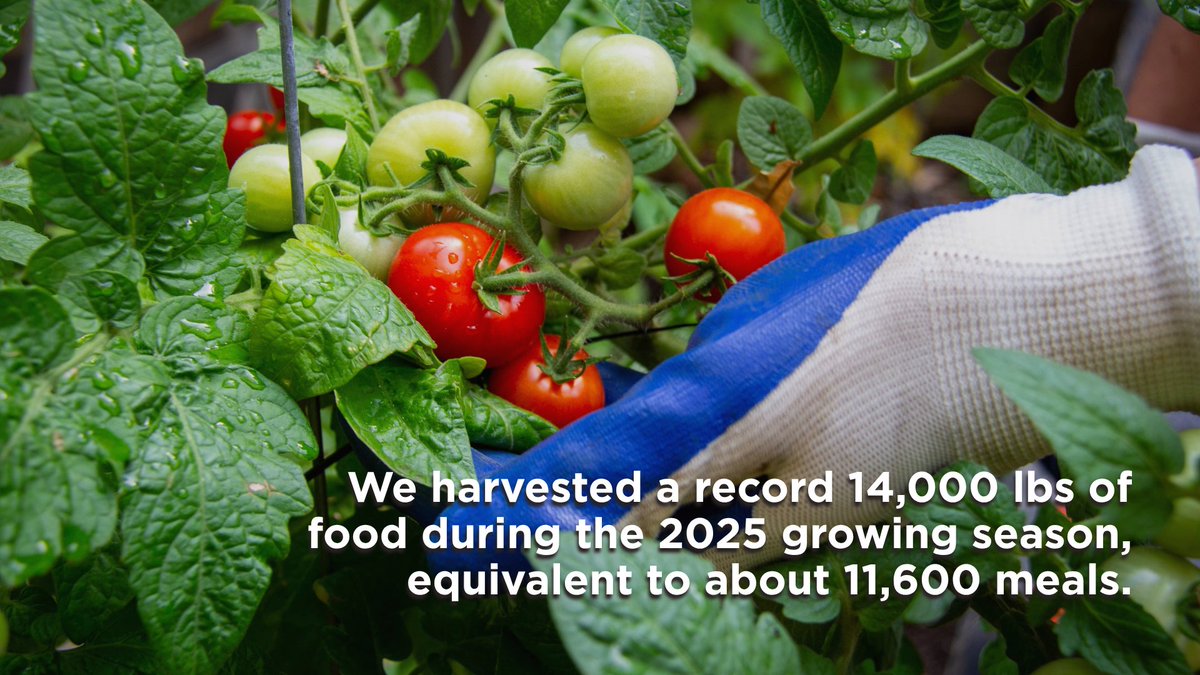 sus_org's tweet photo. More than 22,000 NYers lost #SNAP benefits in June alone and emergency food providers are already seeing increased demand across #NYC.

Every New Yorker deserves reliable access to nutritious food. A gift today can help S:US combat #foodinsecurity: https://t.co/5F7XOegKv1. https://t.co/iBf6CEKhXA