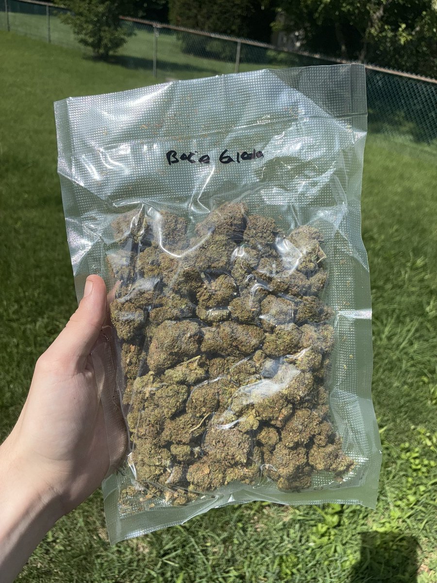 ITSOKTODIEtv's tweet photo. Thank you so much @TERP_THCA big #MailCall from the homie #TerpTHCA always shows too much love on the packs, literally gave me that blue berry for free bc I wanted to try it, Ayo bro is a fucking legend! Don’t sleep on the homie like I did, use code itsoktodietv15 to save with bro, genuinely a homie not a shop💯💚 #StonerFam #TwitchFam