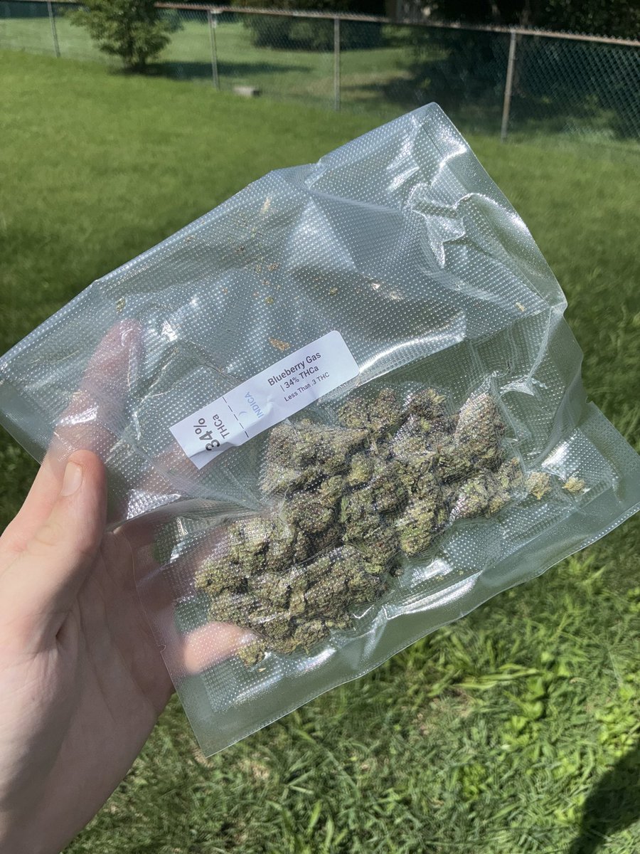 ITSOKTODIEtv's tweet photo. Thank you so much @TERP_THCA big #MailCall from the homie #TerpTHCA always shows too much love on the packs, literally gave me that blue berry for free bc I wanted to try it, Ayo bro is a fucking legend! Don’t sleep on the homie like I did, use code itsoktodietv15 to save with bro, genuinely a homie not a shop💯💚 #StonerFam #TwitchFam