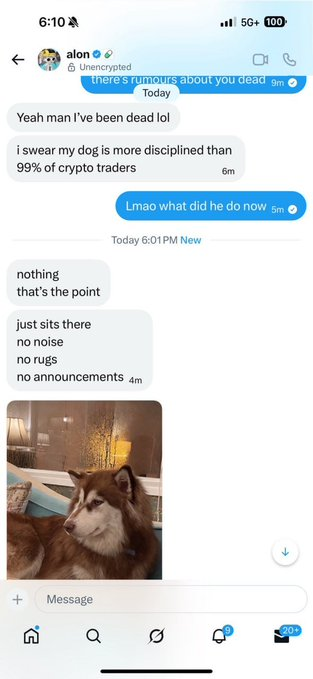Nukooszn's tweet photo. I'm surprised nobody has tried to run this properly yet, so CATE hit 80M and LMEOW hit 2M MCAP

All these coins are on https://t.co/HNRO3cNyfb and none of them would be here if it wasn't for @a1lon9, so I did some digging and found out alon's pet.

Benny is Alon’s confirmed dog (from leaked dms)

The thesis is simple, without Alon CATE wouldn't even exist.

Everyone is chasing random pet betas while the most obvious one is sitting right there

Bennycoin

$BENNY

https://t.co/hUpSnOcox2