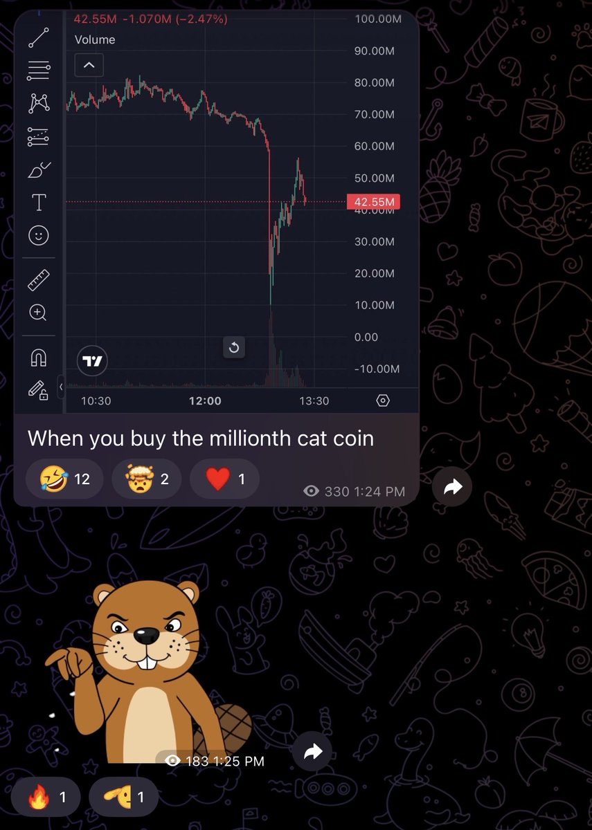 CrashiusClay69's tweet photo. When you get raped buying the millionth cat coin https://t.co/clyIv7eOOi