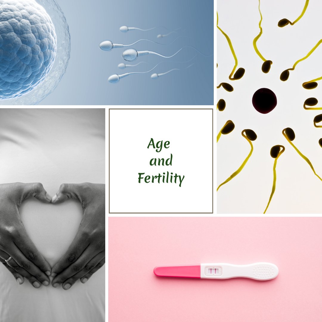 CLHealthCoach's tweet photo. FREE download this week only! 🎁
Age and Fertility
Get it here ➡️https://t.co/ILWbuVfABm https://t.co/MMyPlnHX6t