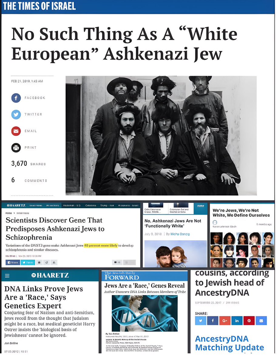 WeimarWillhelm's tweet photo. No, jеws are not White. https://t.co/48644Qk3MX