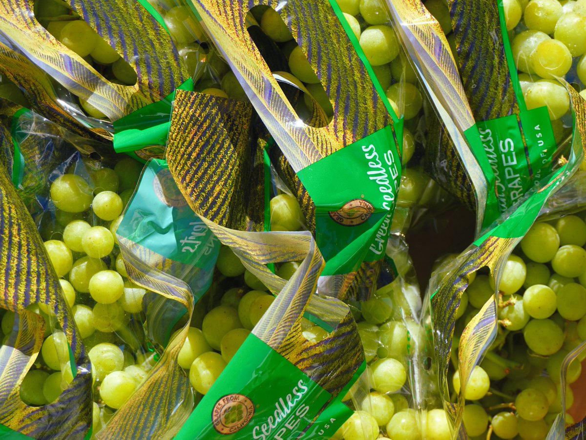 KimballProduce's tweet photo. Sometimes, all it takes is one bunch to see the difference. 🍇Every bunch is filled with crisp green grapes, carefully packed to showcase the freshness, uniformity, and attention to detail that make this program one worth highlighting! #FreshProduce #GreenGrapes #ProduceIndustry https://t.co/vlsJK6ckcm