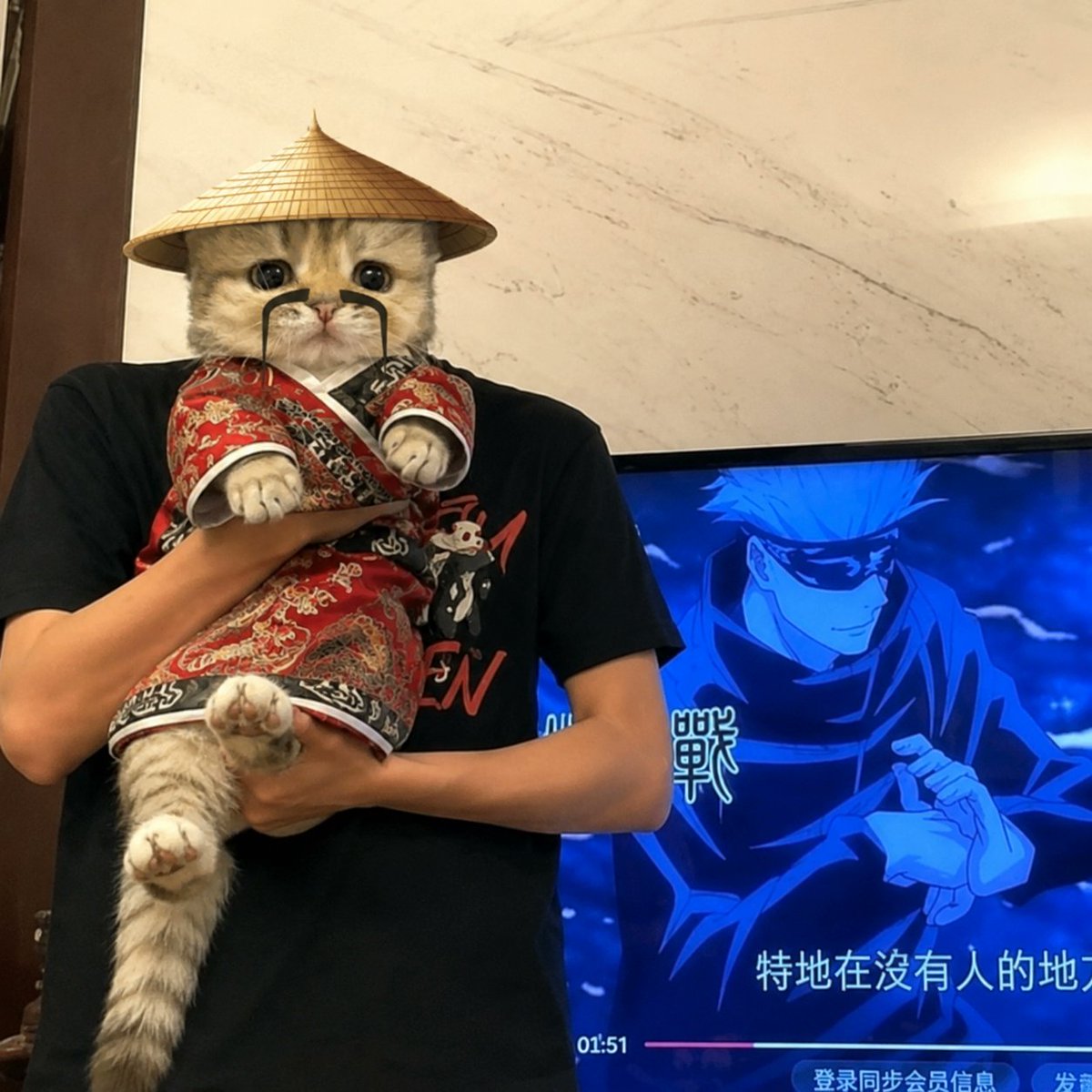 Memchoin's tweet photo. me no go no where. https://t.co/MhjuCRLhVL