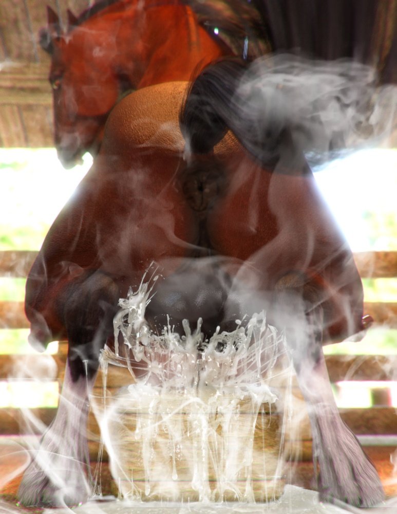 StableTemptress's tweet photo. Like he ever could pleasure her. She's a #HORSED slut after all https://t.co/fbs6f4EQ5X