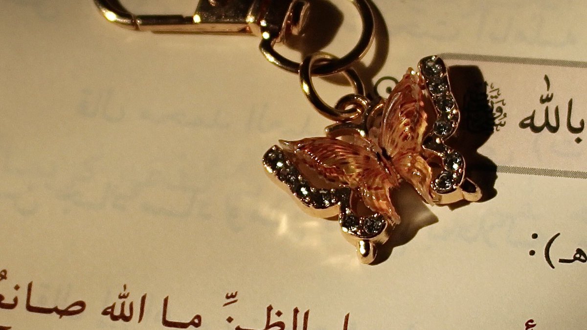 ijmm17_'s tweet photo. —شعاعٌ تَسلَّلَ بينَ الثَّنايا https://t.co/0tswjDvMkK