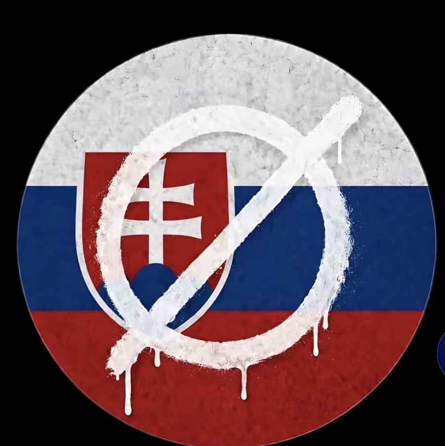 GamerJakubko's tweet photo. @Lyracutevibes Pfps for Slovakia https://t.co/ok0tbtPMQj