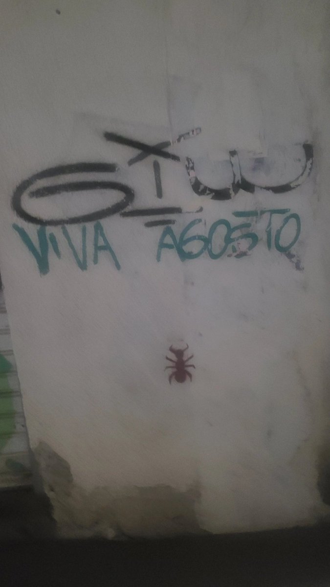 messicareca369's tweet photo. não tava lembrando que tirei essa foto no rolê sábado, mas me lembrou que chegou melhor mês do ano pra ser monsclarence https://t.co/tO7MaReXum