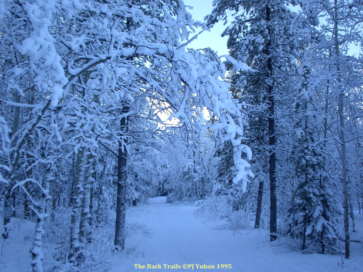 PJ_Yukon's tweet photo. Soon winter will be here. But this won't. Nothing lives in The Graveyard. ~ PJ Yukon @Yukon_News #TheGraveyard #KDFN #mytribe