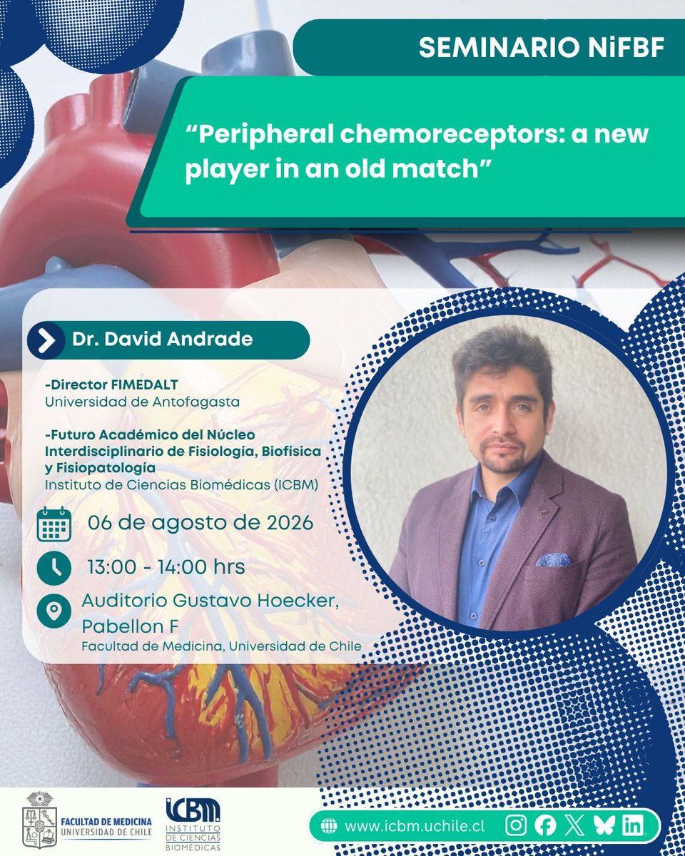 ICBM_UChile's tweet photo. 🫀 El Núcleo Interdisciplinario de Fisiología, Biofísica y Fisiopatología (NiFBF) invita al seminario "Peripheral chemoreceptors: a new player in an old match", dictado por el Dr. David Andrade.
📅 6 de agosto | 🕐 13:00 h
📍 Auditorio Gustavo Hoecker, Fac. de Medicina U.Chile. https://t.co/QLja76PaXM