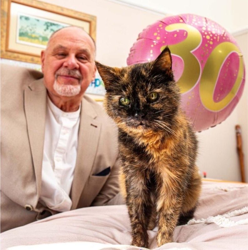 Puppieslover's tweet photo. The world’s oldest known cat just turned 31.
She only drinks spring water and is still living her best life. She just refuses to quit https://t.co/tnrb0R6BLh