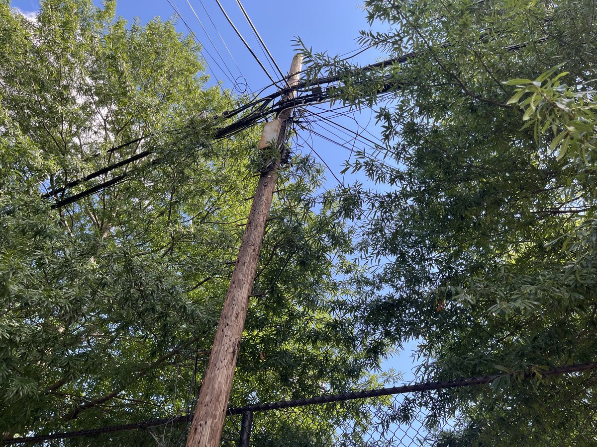 ChristopherWDav's tweet photo. What would it take to bury the power lines around Stead Park? https://t.co/X5OADwM6ha