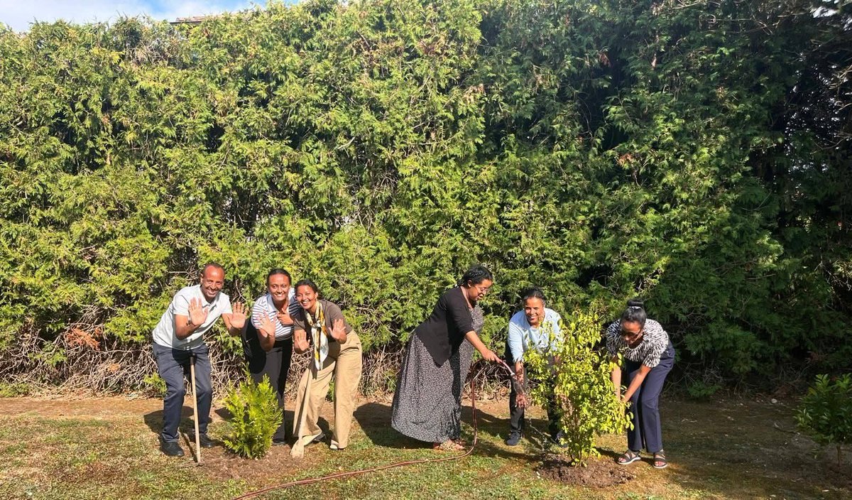 ETMissionGVA's tweet photo. @ETMissionGVA organised a tree-planting program on August 3, 2026. Ethiopia's historic 8th Green Legacy Initiative is being implemented nationwide under the theme "Let's Plant Hope."
Read more: https://t.co/mOrp903Awy https://t.co/gb3CfDSiEo