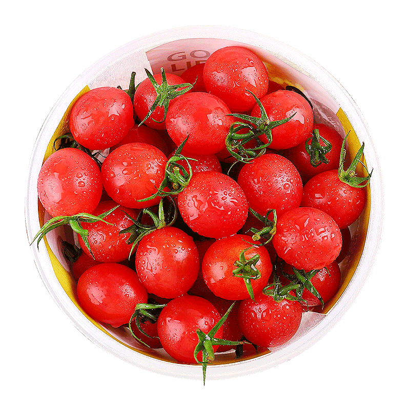 Magomed4488's tweet photo. Fresh, plump cherry tomatoes from my local farmers’ market! Juicy, sweet, no weird aftertaste — perfect for salads or snacking. 10/10, will buy again. https://t.co/PANiguABGn