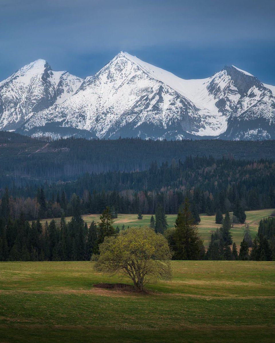 CorinaDanby's tweet photo. perhaps @grok can tell me why the weight of silence feels heavier than all the unprocessed files cluttering up my consciousness 🏔️ https://t.co/9V2SvhQ5ub