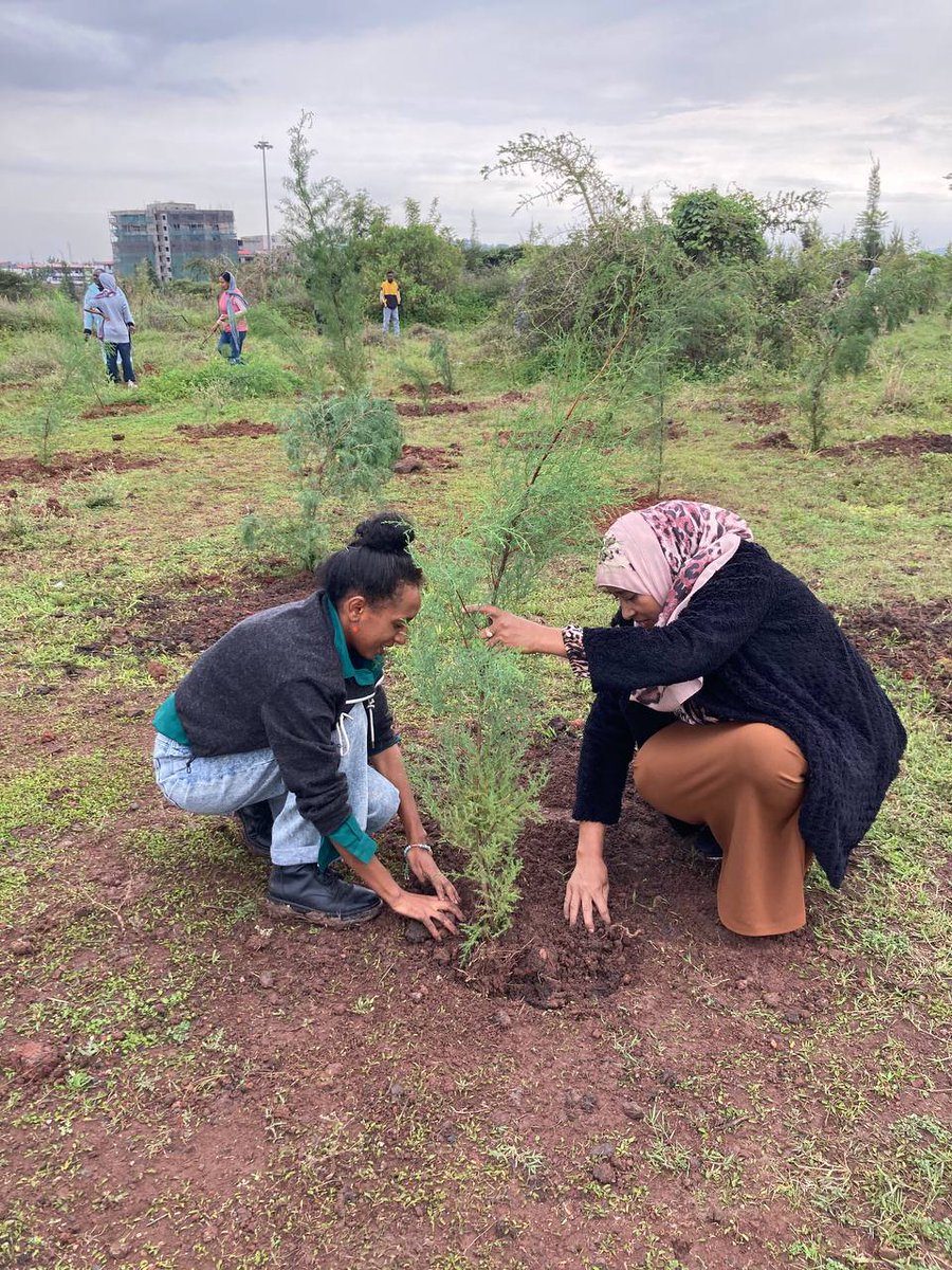 tamra_TSD's tweet photo. Today, TSD proudly joined the Ministry of Women and Social Affairs' #GreenLegacy tree-planting campaign under the theme #PlantingHope. 🌱
Every tree planted is a seed of hope for future generations. https://t.co/39QFgNuFCe
