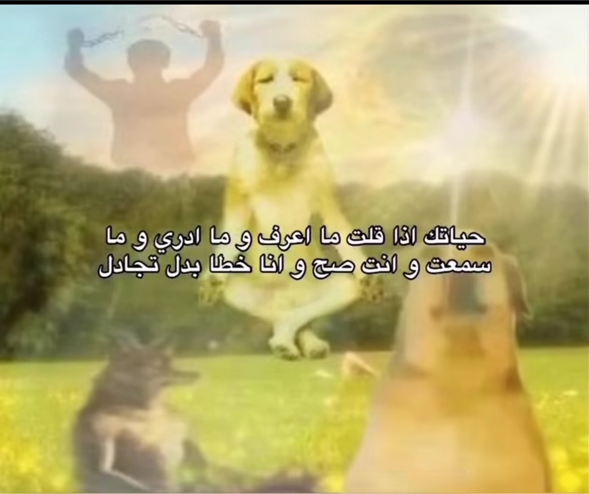 pcxzcc's tweet photo. +اللي ودك https://t.co/rVjhMsgWX5