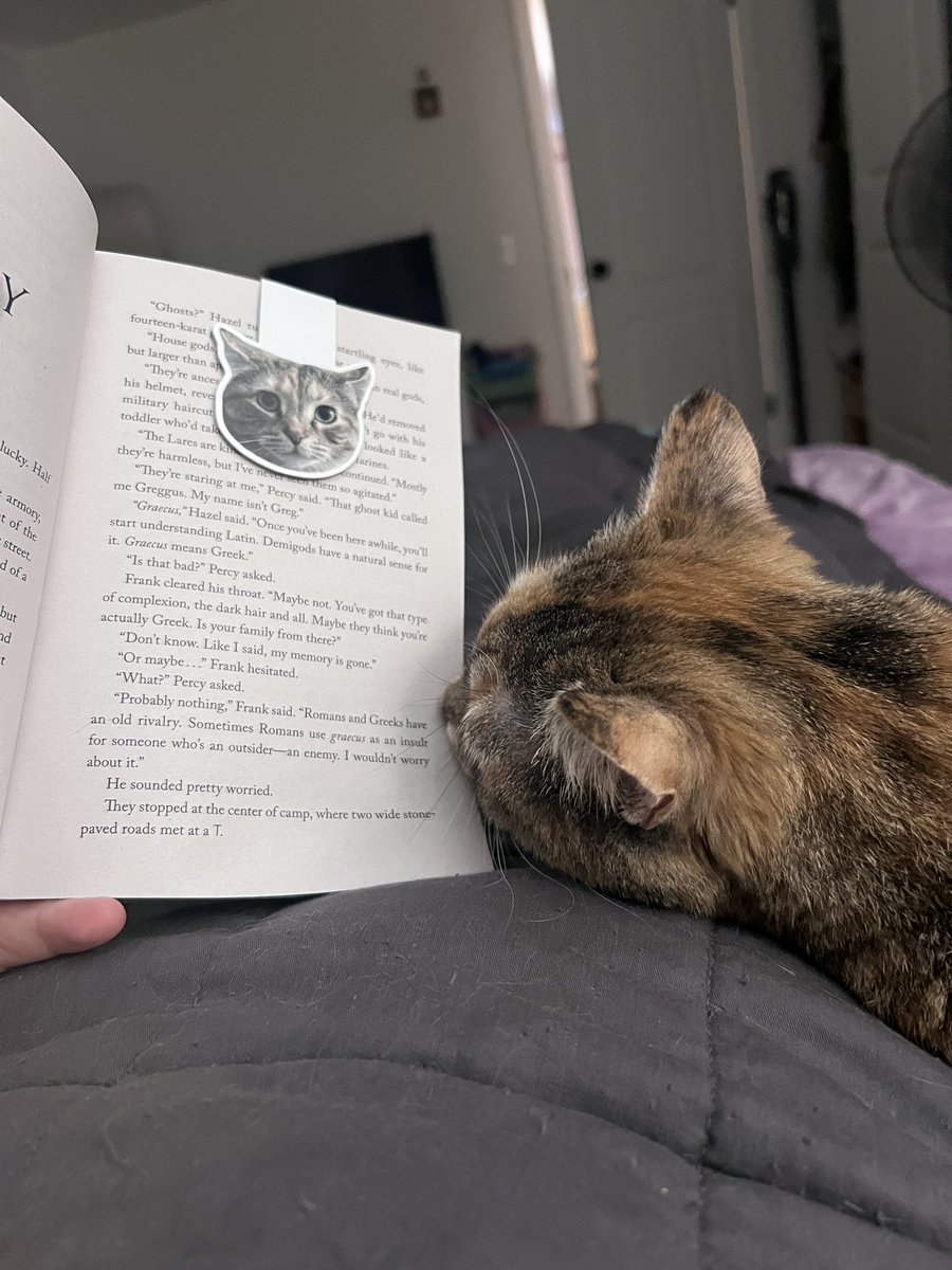 marbledacat's tweet photo. momb has an bookmarkble https://t.co/ilgaqqUZAZ