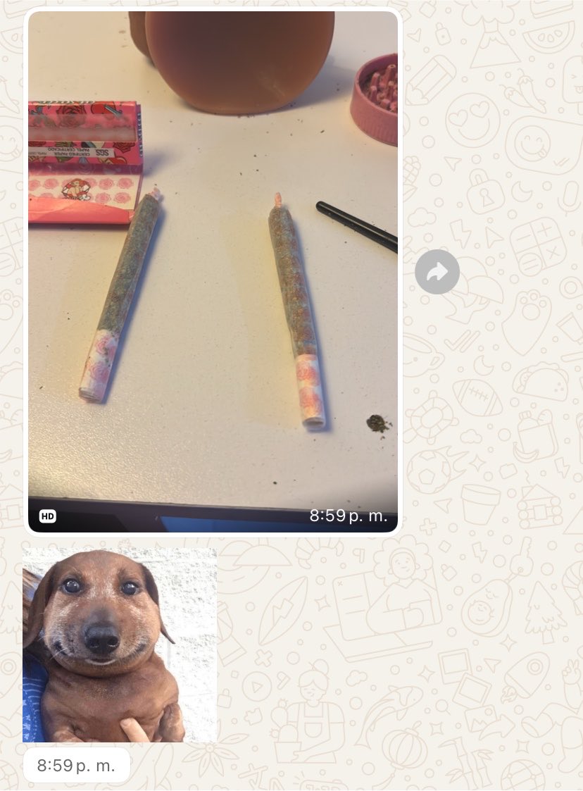 Diiavalo's tweet photo. Dejo a mi mujer en la casa para salir a josear y esto es lo q me envía https://t.co/H1eurJ4TzR