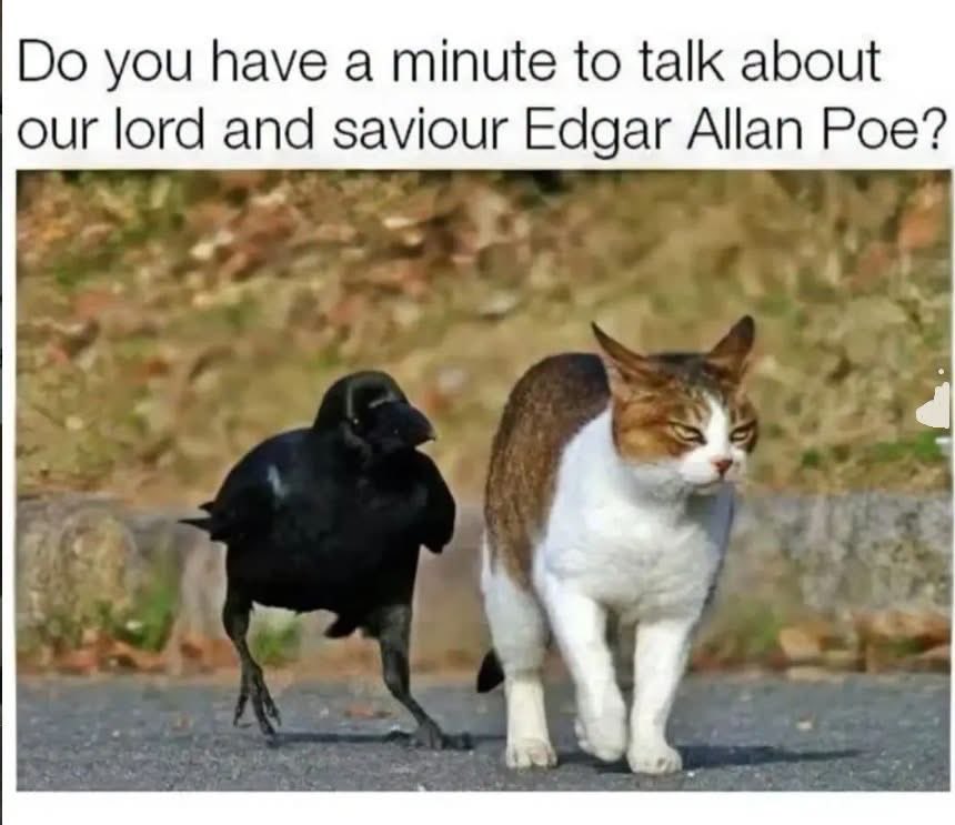 HorrorHammer1's tweet photo. 🤣 https://t.co/b918wxdmi0