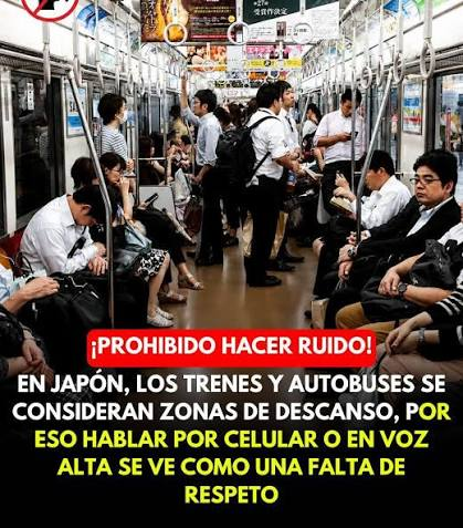 malamonzu's tweet photo. @LealtadSabia JAPÓN: LIMPIEZA, PUNTUALIDAD Y ARMONÍA SOCIAL

Valores que se enseñan desde la INFANCIA para mantener el EQUILIBRIO en la vida diaria.

NORMAS DE RESPETO EN PÚBLICO:
Saludo
Espacio personal
Filas y turnos

EDUCACIÓN, RESPONSABILIDAD Y DISCIPLINA.

¡¡¡TAL CUAL!!! https://t.co/0RoPaFCzCD