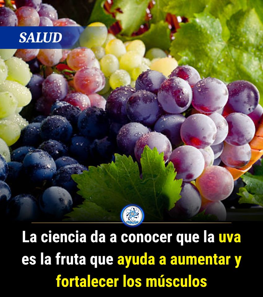 EnsedeCiencia's tweet photo. https://t.co/fXVisEHLzX