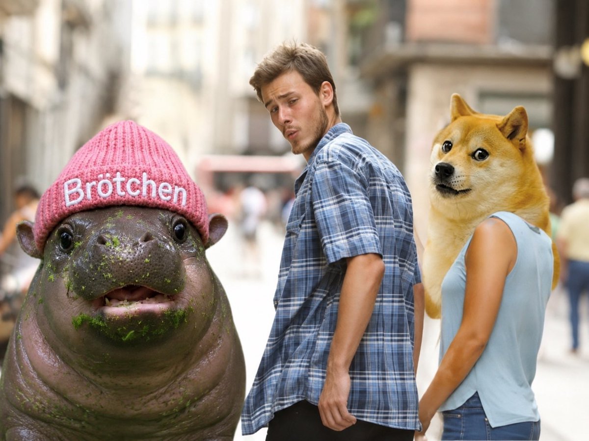 Broetchenking's tweet photo. 👀🦛💞
@brotchencto https://t.co/WaWAcuLzbX