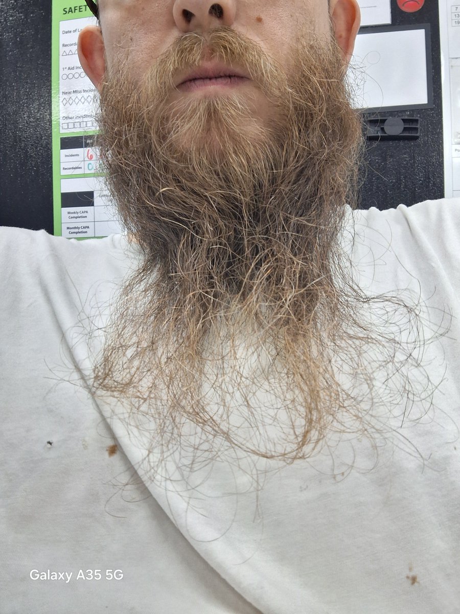 SomeoneOfNoOne1's tweet photo. Gotta tie the beard down while at work.   It can snag with how frequently i move around. https://t.co/aBNys0BjEX