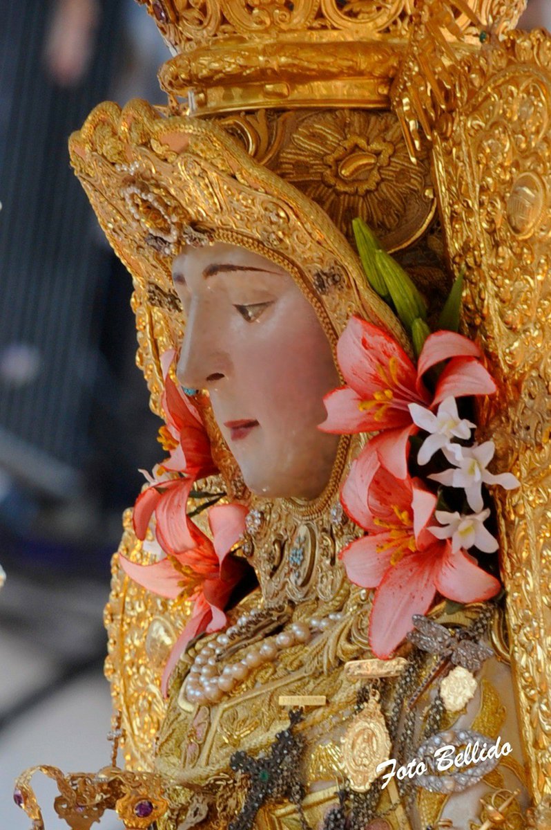 DiarioRociero's tweet photo. Buenas noches.
Que la paz y la luz estén presentes en nuestro descanso y nuestros sueños y la Virgen del Rocío nos proteja hasta el amanecer.
Hasta mañana #Rocieros https://t.co/Aayt7XMHQs
