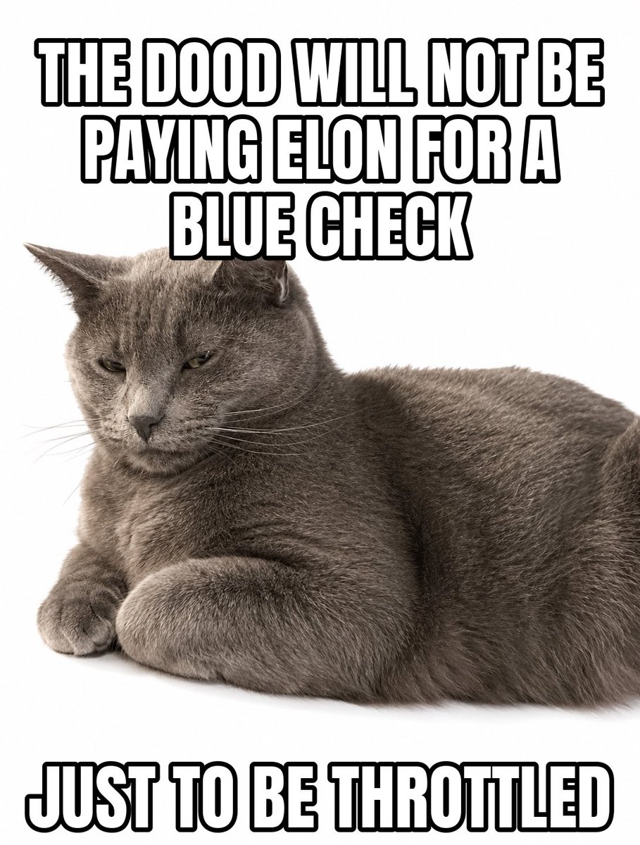 DoodDCat's tweet photo. @elonmusk https://t.co/RhXIuz0Wba