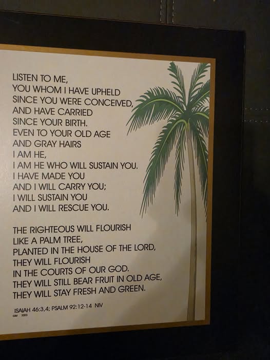 ourbrokenness's tweet photo. The Righteous will Flourish like a Palm Tree... https://t.co/PlwJTr4PbE
