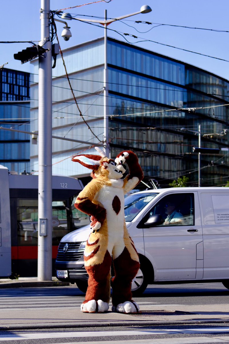 CoVahr_Fox's tweet photo. Stinky cars, no place for the FoxDerg 😰 https://t.co/4sPco1ukO3
