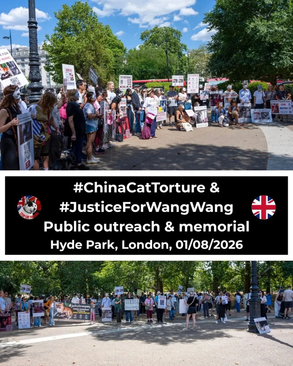 Spicybiscuit15's tweet photo. A fabulous turnout with @felineguardians for #justiceforwangwang and #chinacattorture at Hyde Park on 1st August. Amazing! https://t.co/Zr4f5NYp6o
