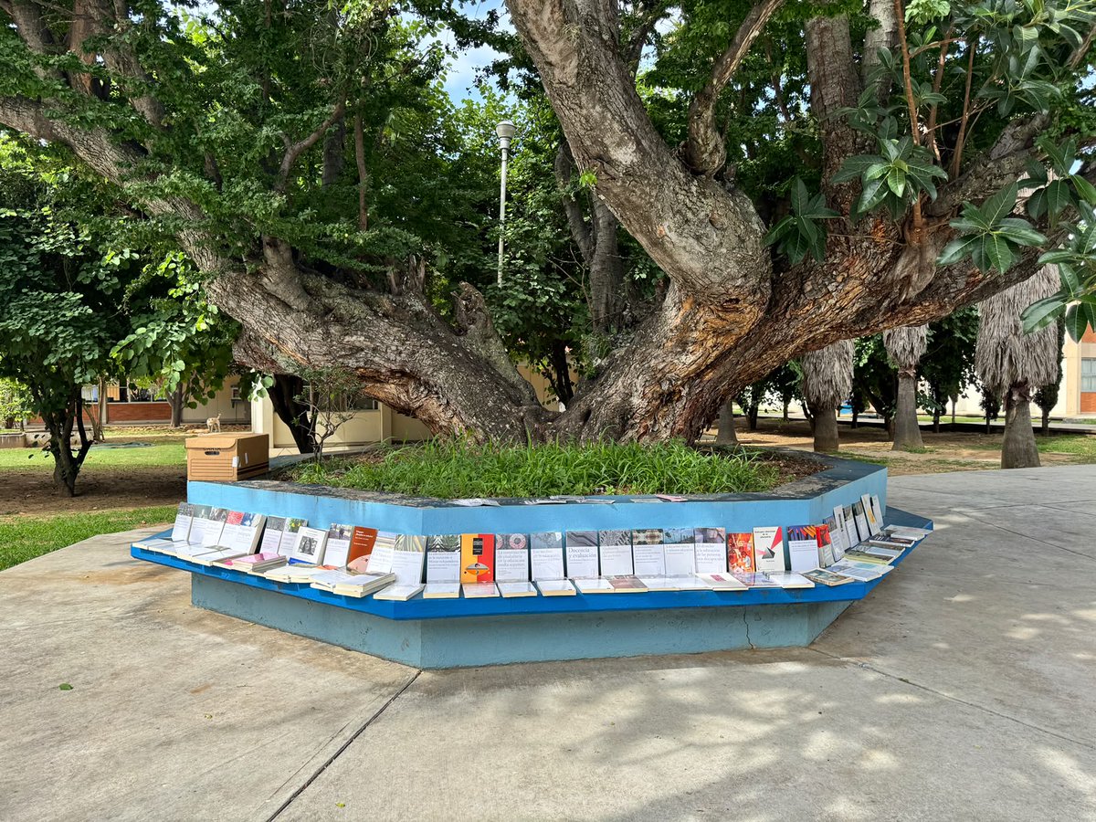 IISUE_UNAM's tweet photo. Donación de publicaciones del #IISUEUNAM en la #UPN 201 Oaxaca, gracias a la visita y charla de Catalina Inclán, investigadora del IISUE, el 13 de julio pasado.
#PresenciadelIISUE @OpeIISUE @ahunam_difusion @PerfilesUNAM @DGDH_UNAM https://t.co/tGzWWiiOBy